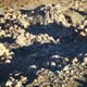Image for article titled A Visit to the Weirdest Archaeological Site in North America